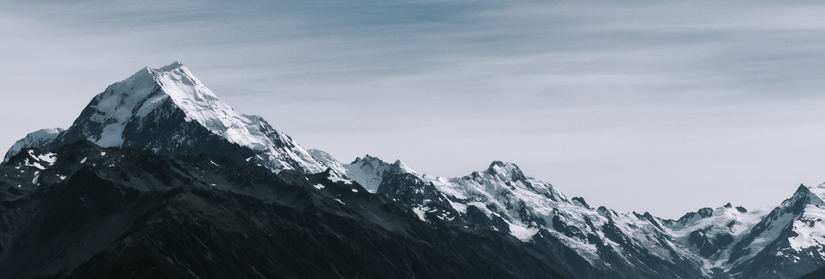profile banner